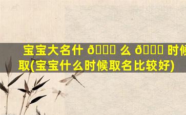 宝宝大名什 🐎 么 🕊 时候取(宝宝什么时候取名比较好)